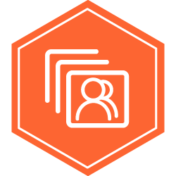 演示 Logo